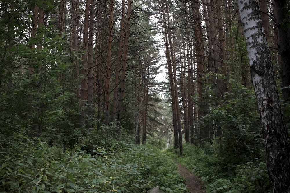 Photograph by Елена