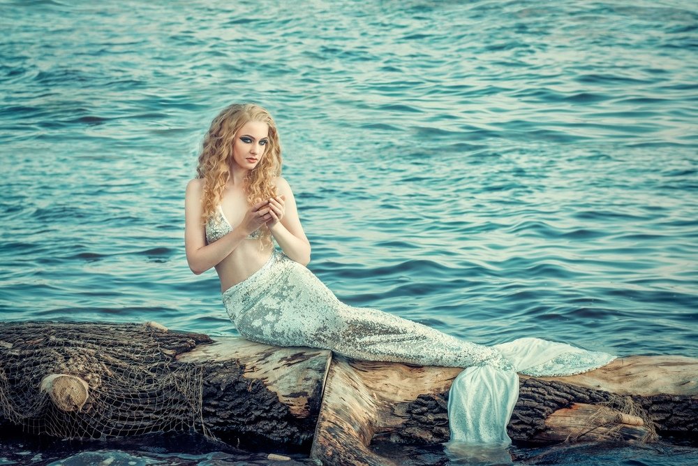 Фотография автора Анисимова Наталия