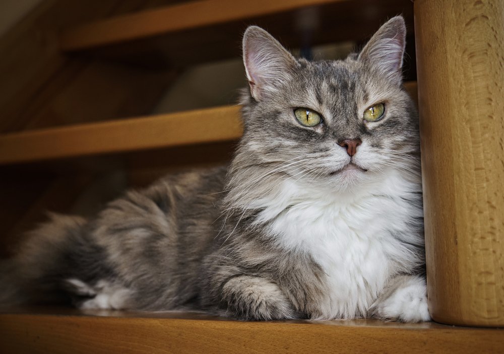 Photograph by Вадим Тихонов