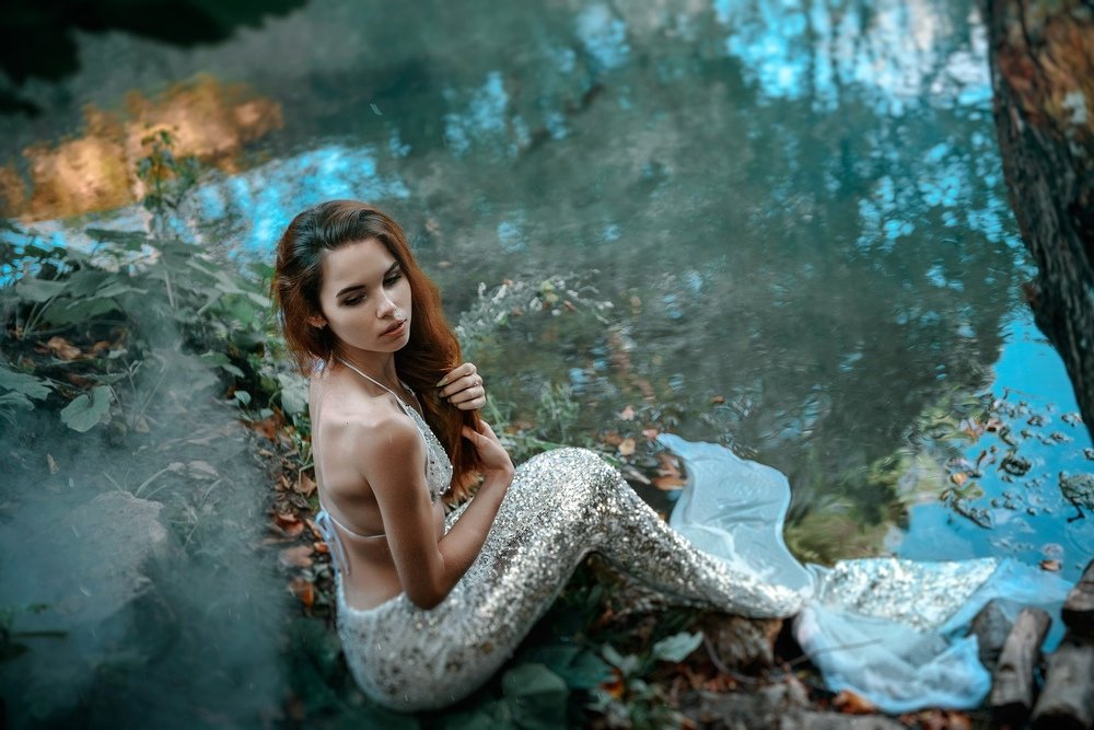 Фотография автора Анисимова Наталия