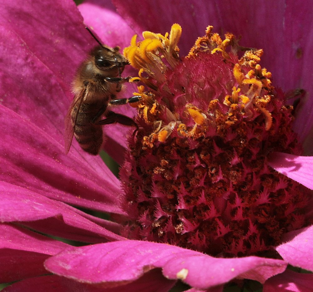 Photograph by Айдын Мехтиев