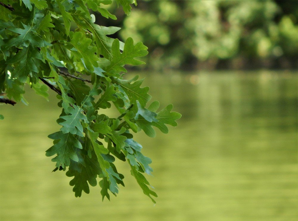 Photograph by Ирина Самойленко