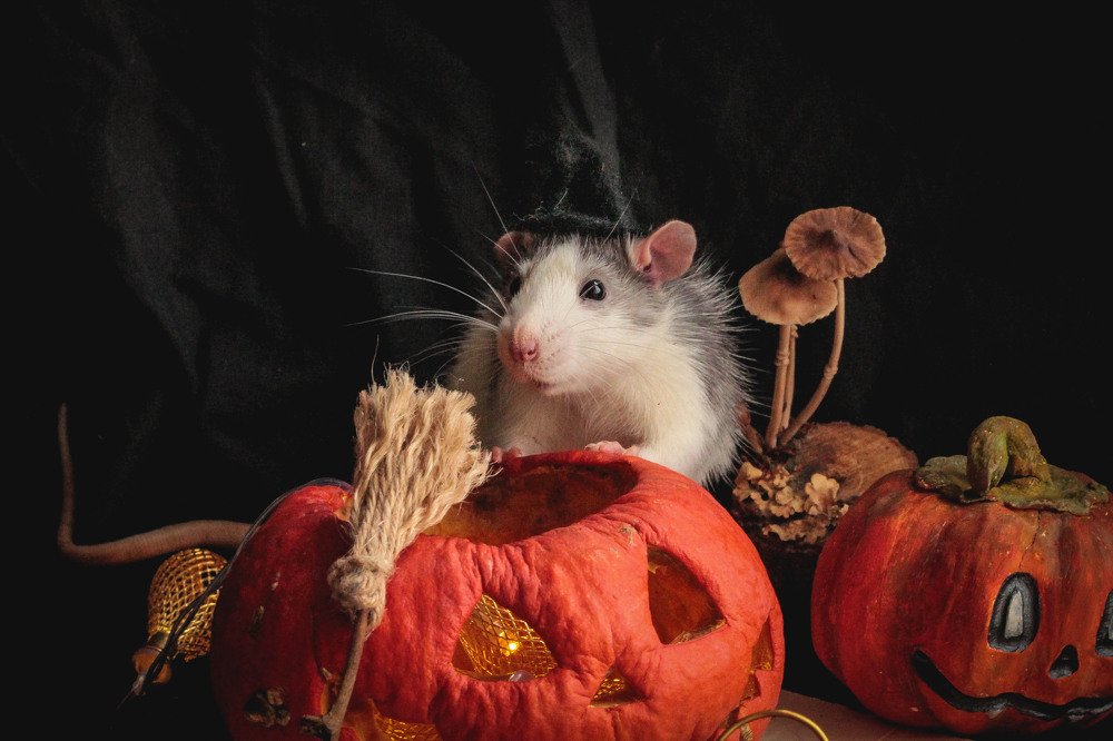 Photograph by Маргарита Федурина