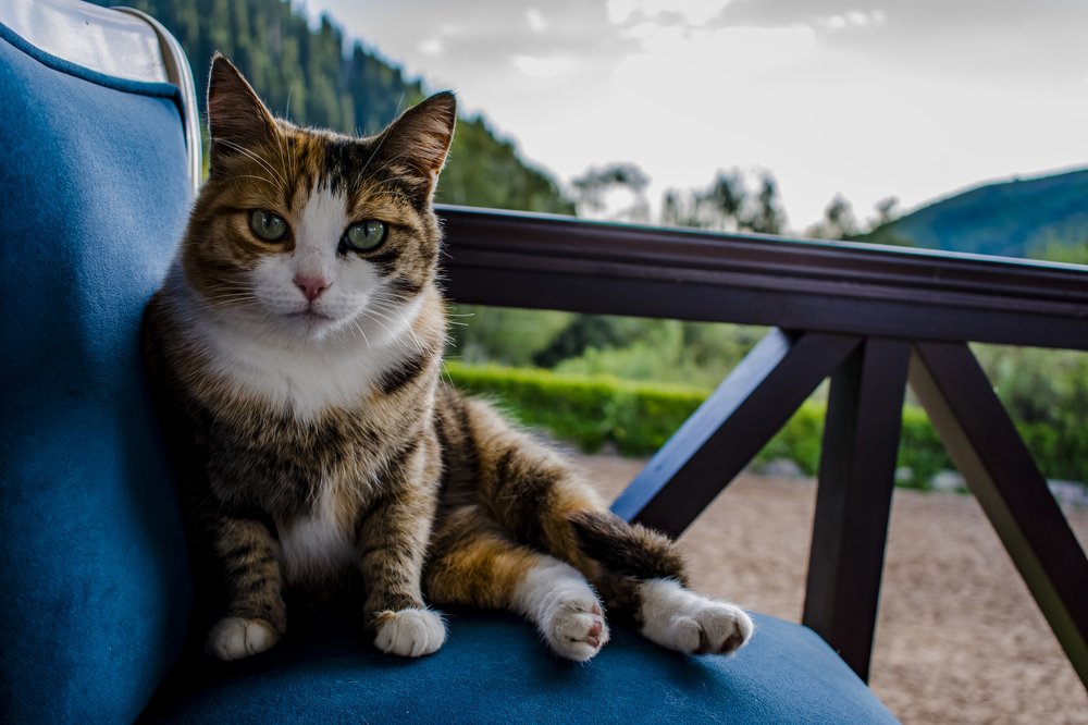 Photograph by Andrzej Orlowski