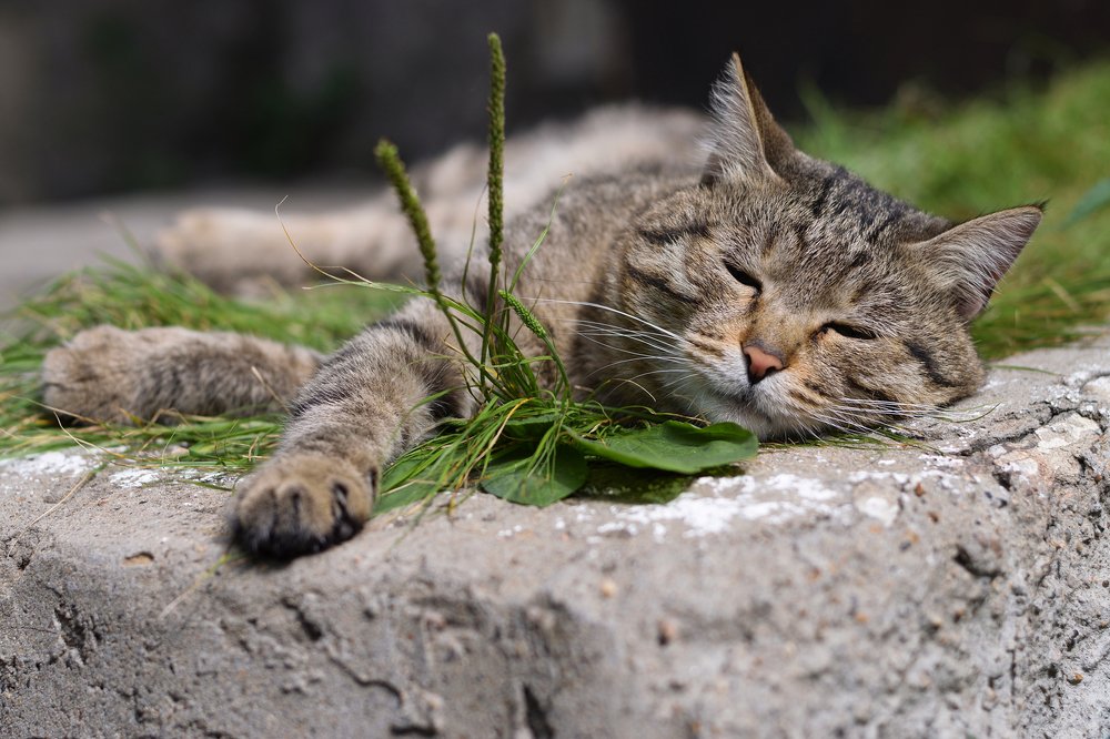 Photograph by Tatyana