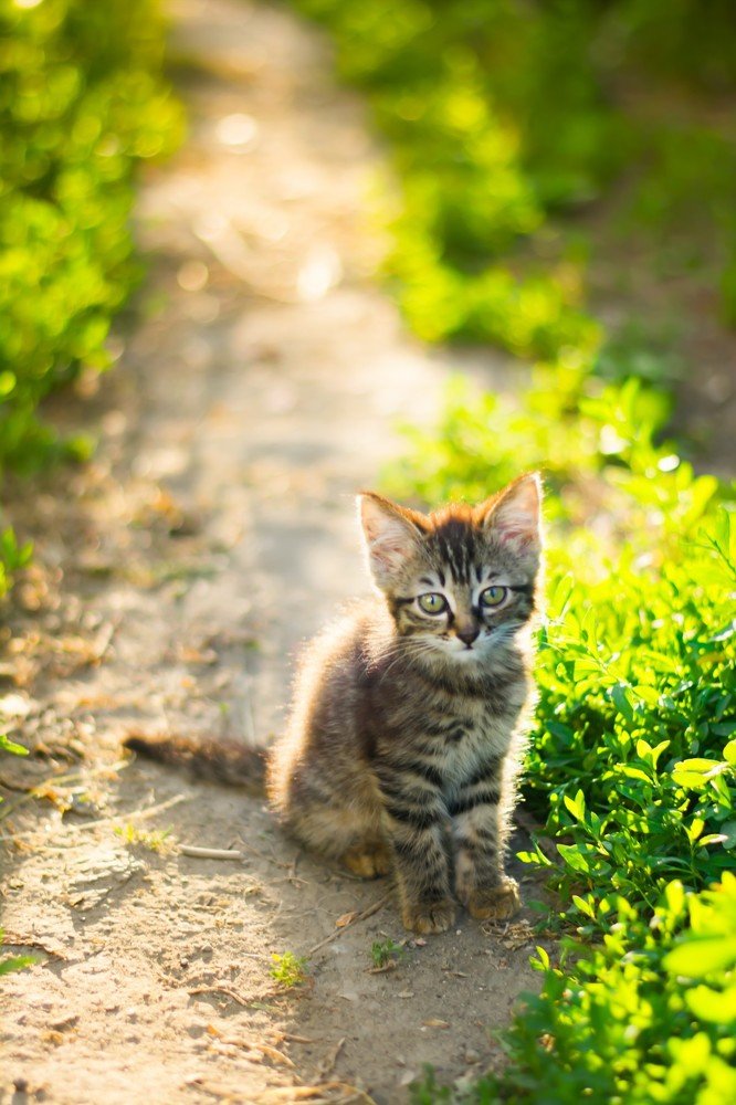 Последние теплые дни