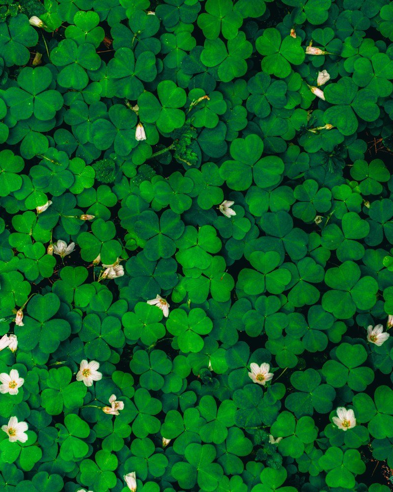 Photograph by Максим Белоус