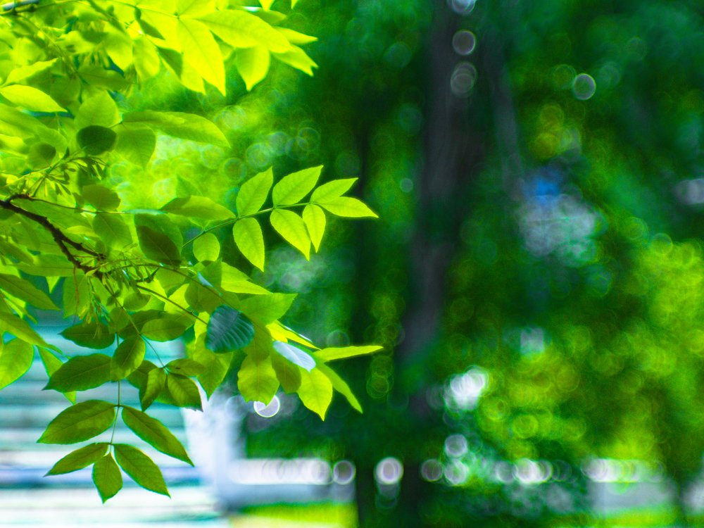 Photograph by Вячеслав Баширов