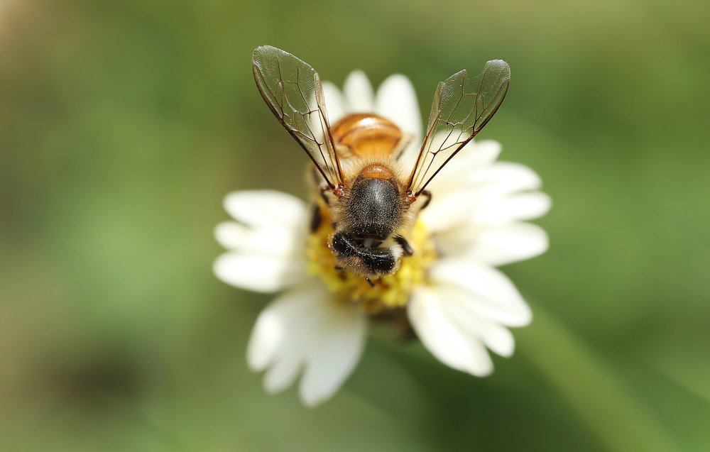 Photograph by R.RAGHUL