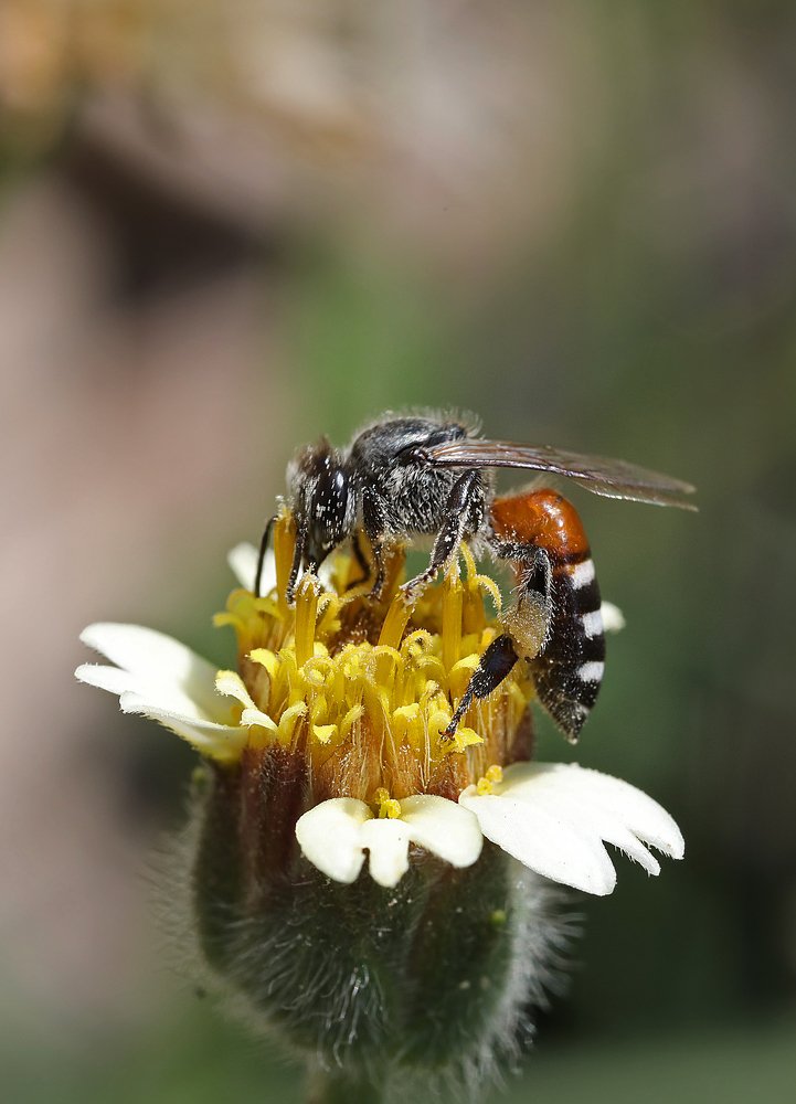 Photograph by R.RAGHUL