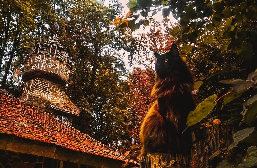 Photograph by Максим Белоус