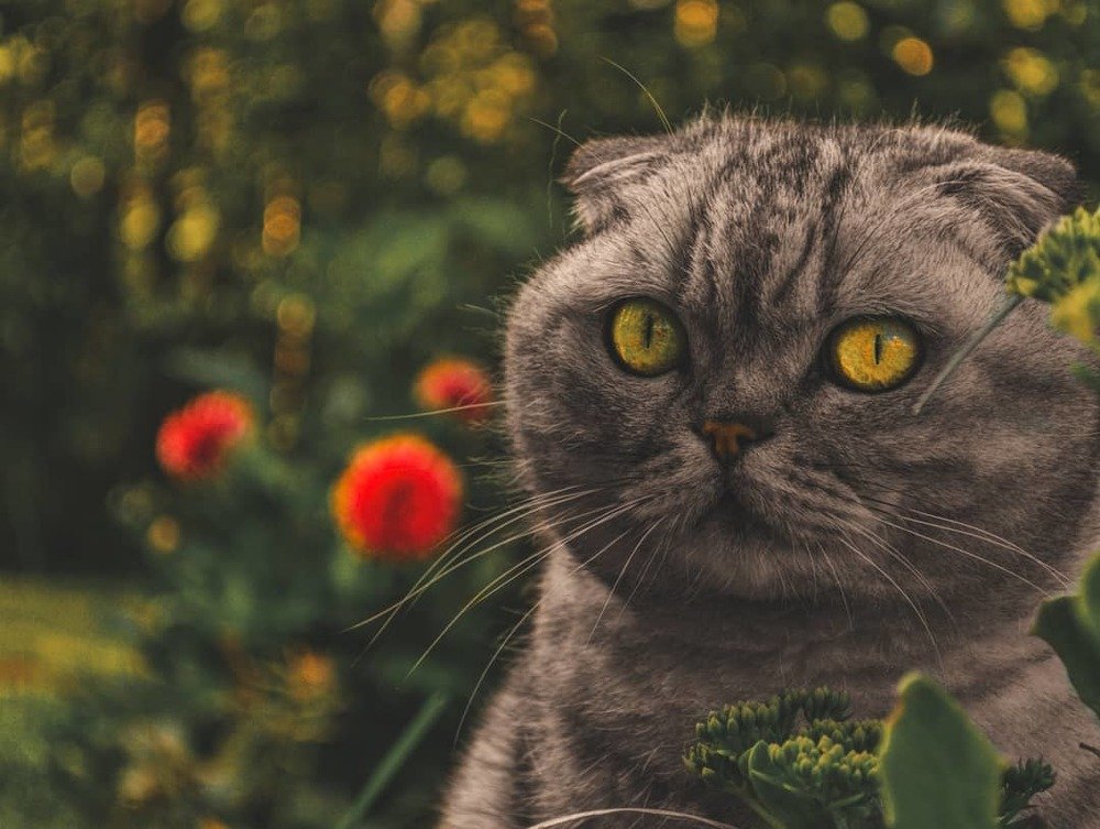 Photograph by Максим Белоус