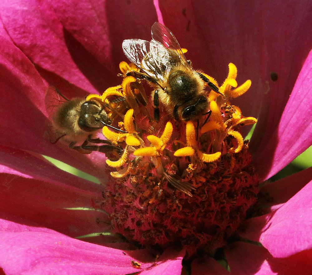 Photograph by Айдын Мехтиев