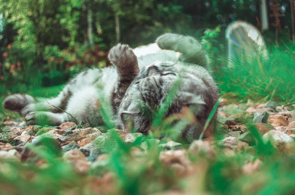 Photograph by Максим Белоус