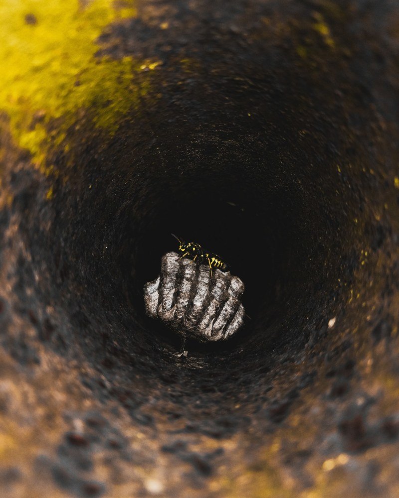 Photograph by Максим Белоус