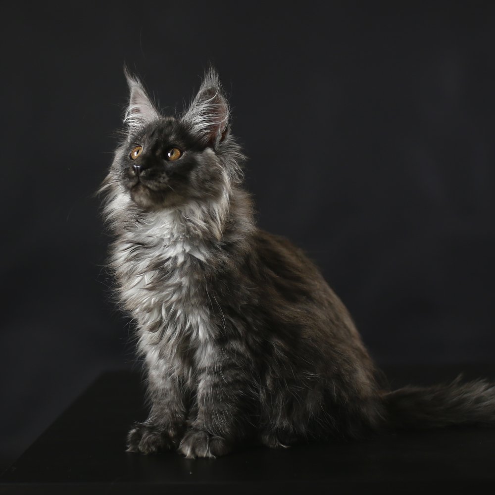 Photograph by Ирина Голубятникова