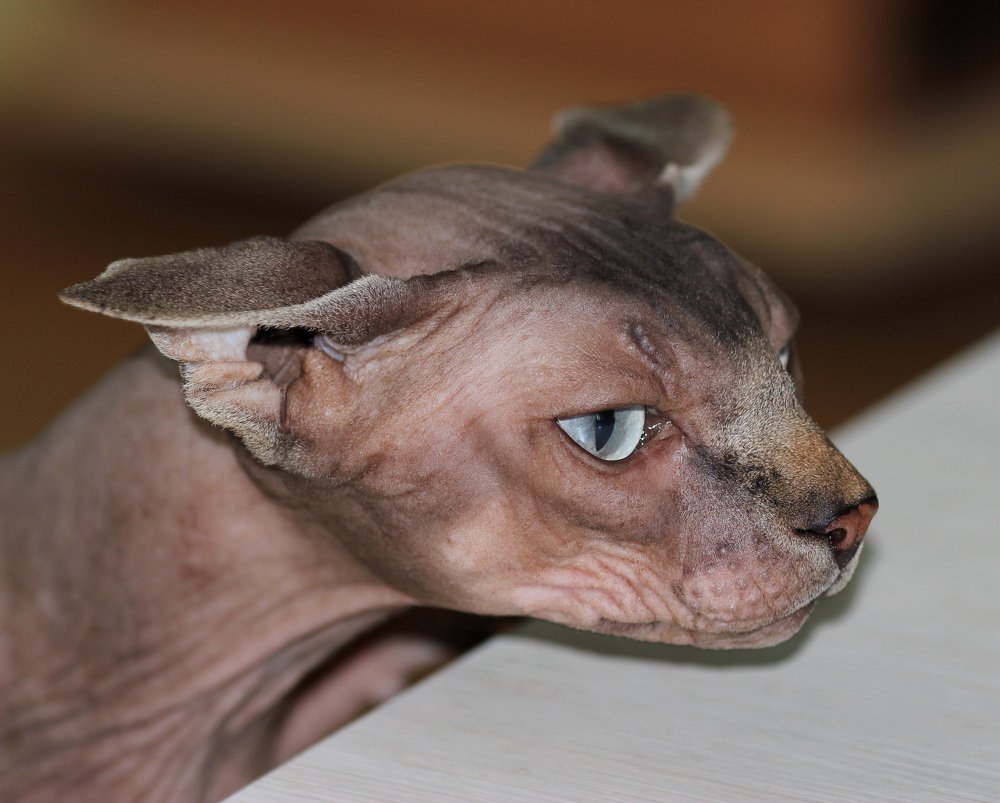 Photograph by Ирина Голубятникова