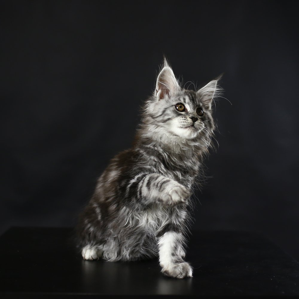 Photograph by Ирина Голубятникова