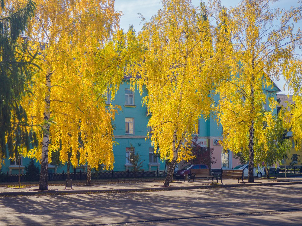 Photograph by Вячеслав Баширов