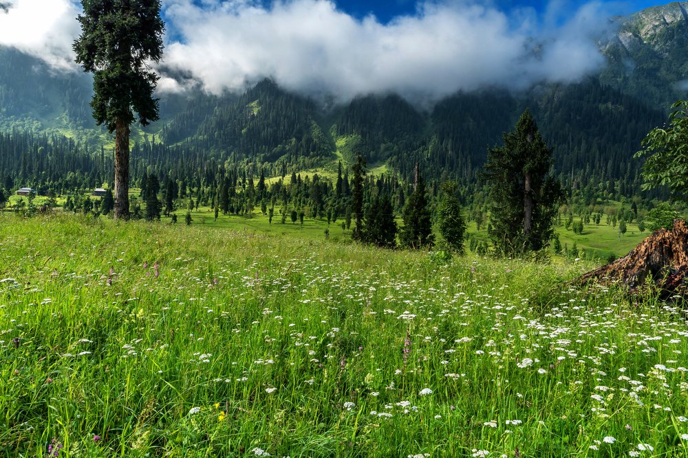 Photograph by maqsood123