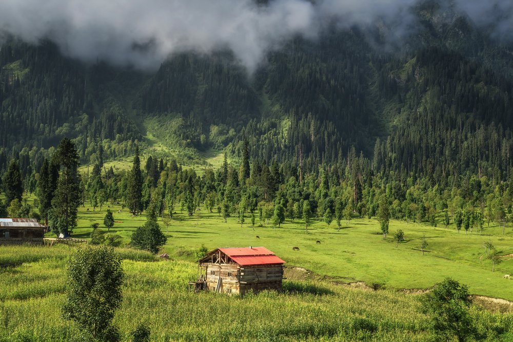 Photograph by maqsood123