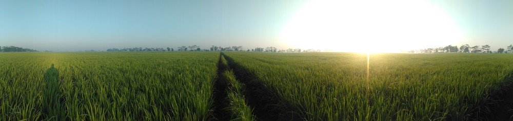 Photograph by Ansyah Badri