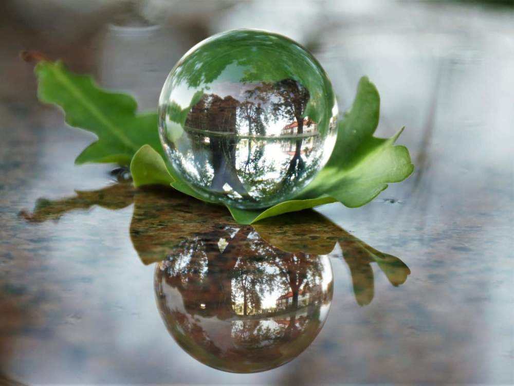 Photograph by Kseniia Pishchinskaia