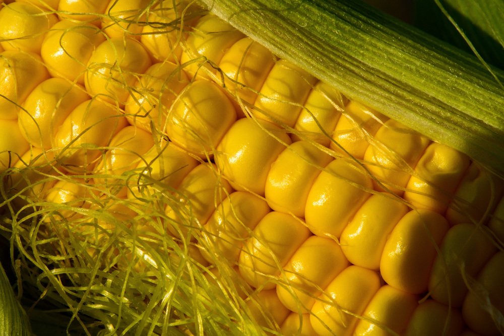 Королева полей