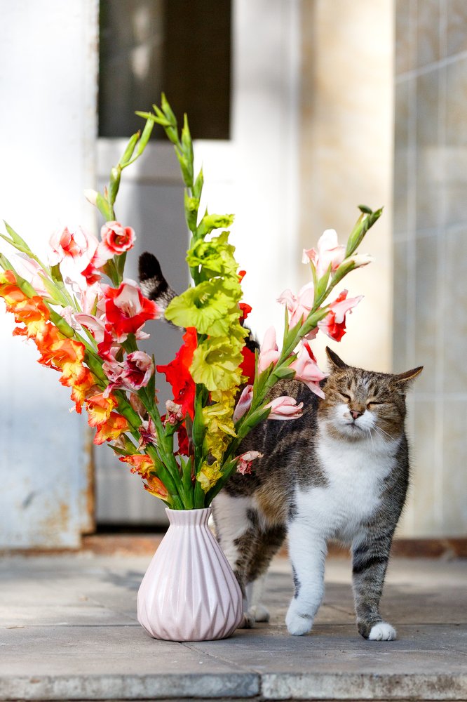 Photograph by ирина иванова