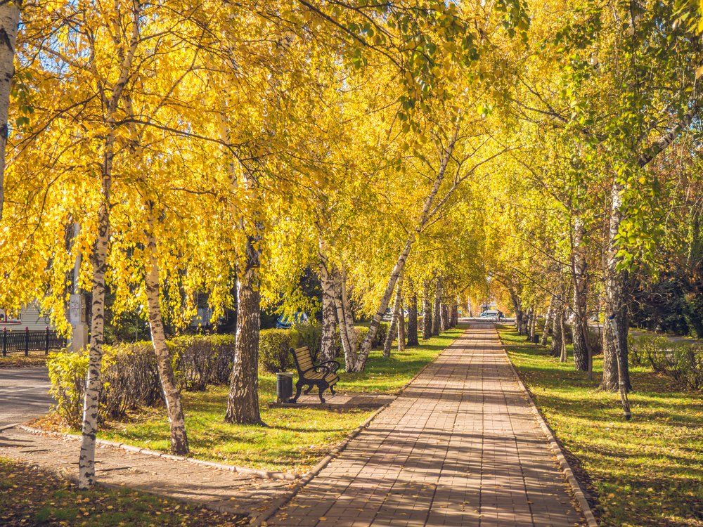 Photograph by Вячеслав Баширов