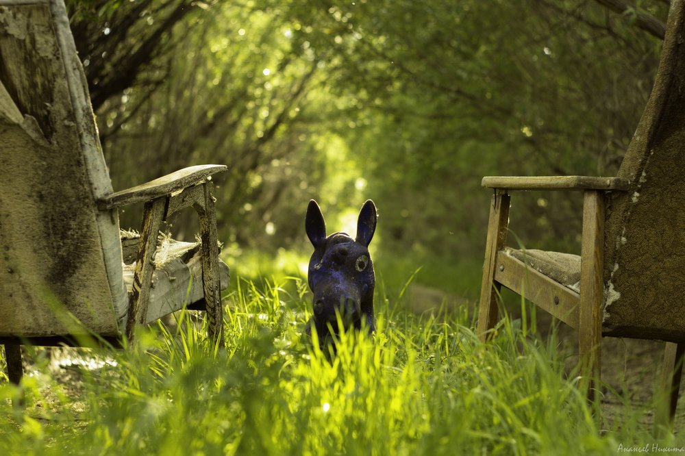 Photograph by Никита