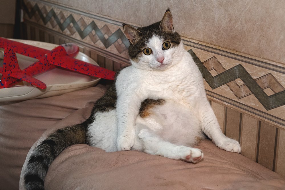 Photograph by Демьян Лопатов