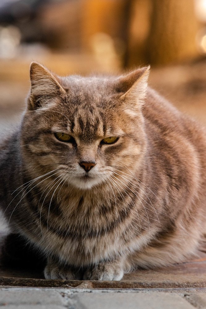 Photograph by Никита