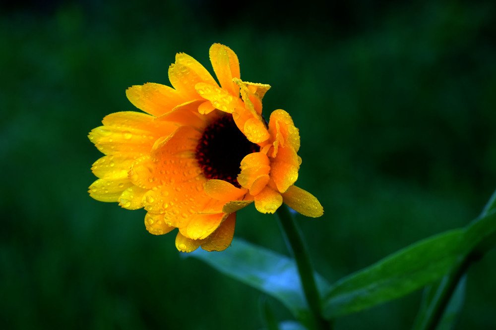 Photograph by Евгений Шувалов