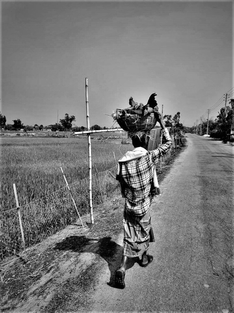 Фотография автора  Ishtiyak Ahmed Zihad