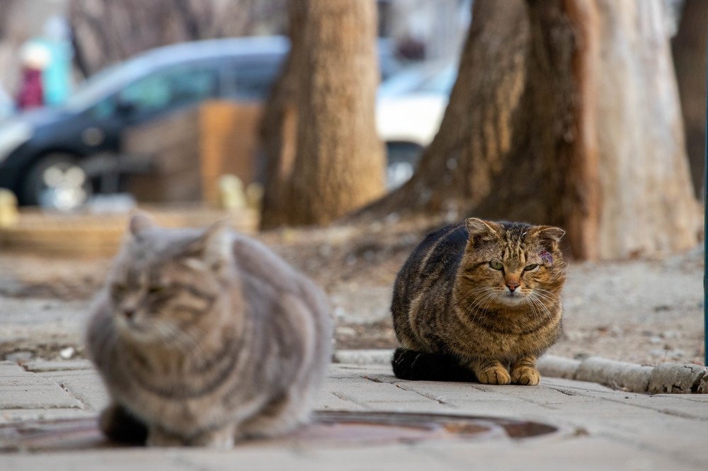 Photograph by Никита