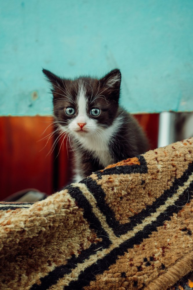 Photograph by Валерия Трушина