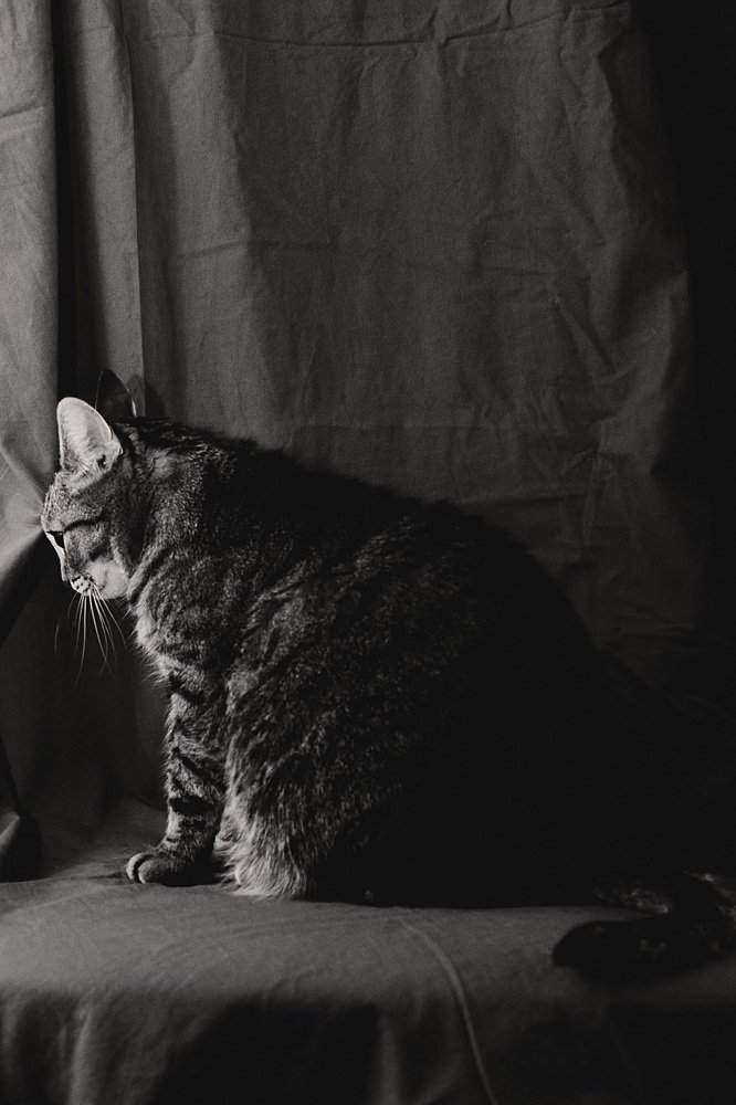 Photograph by Валерия Трушина