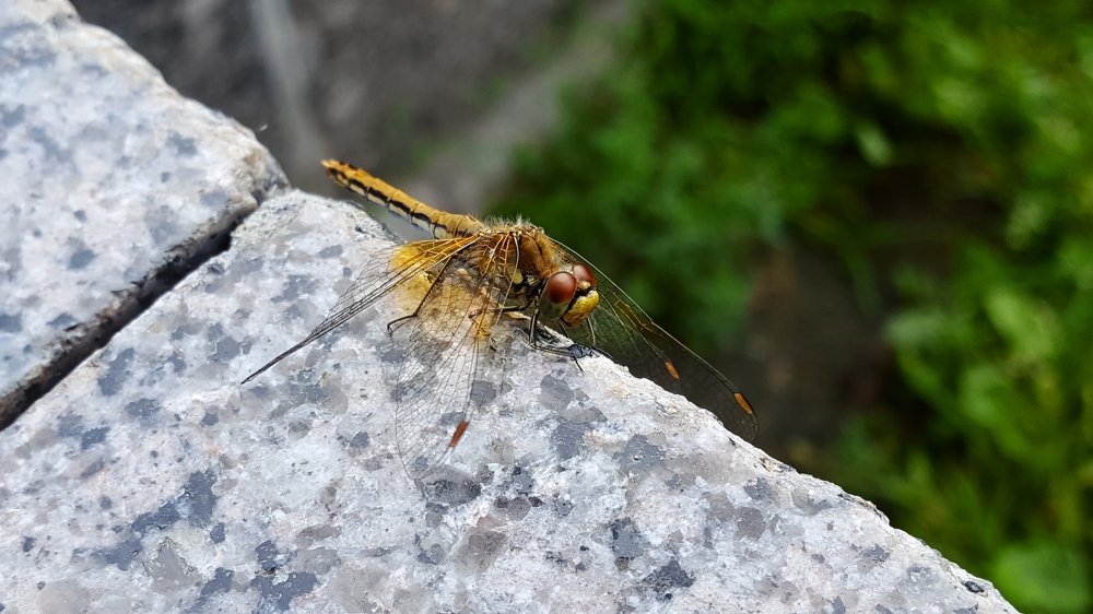 Photograph by Наталья Адалинская