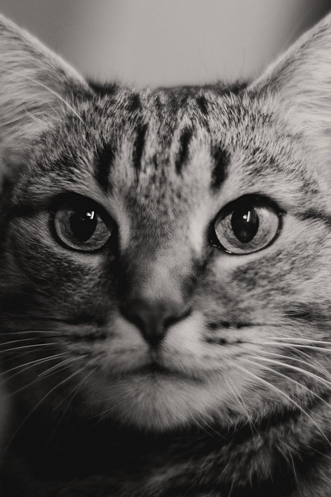 Photograph by Валерия Трушина