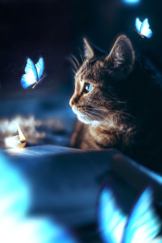 Photograph by Валерия Трушина