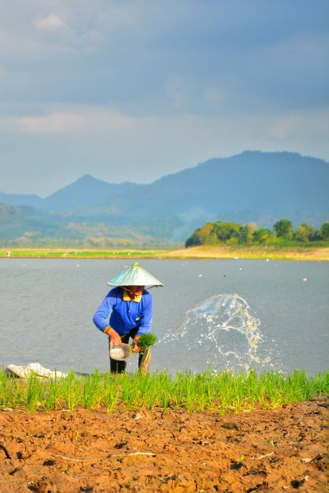 Photograph by Agustini Tandean