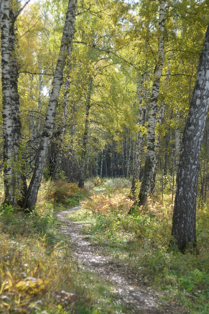 Photograph by Вадим Храмцов