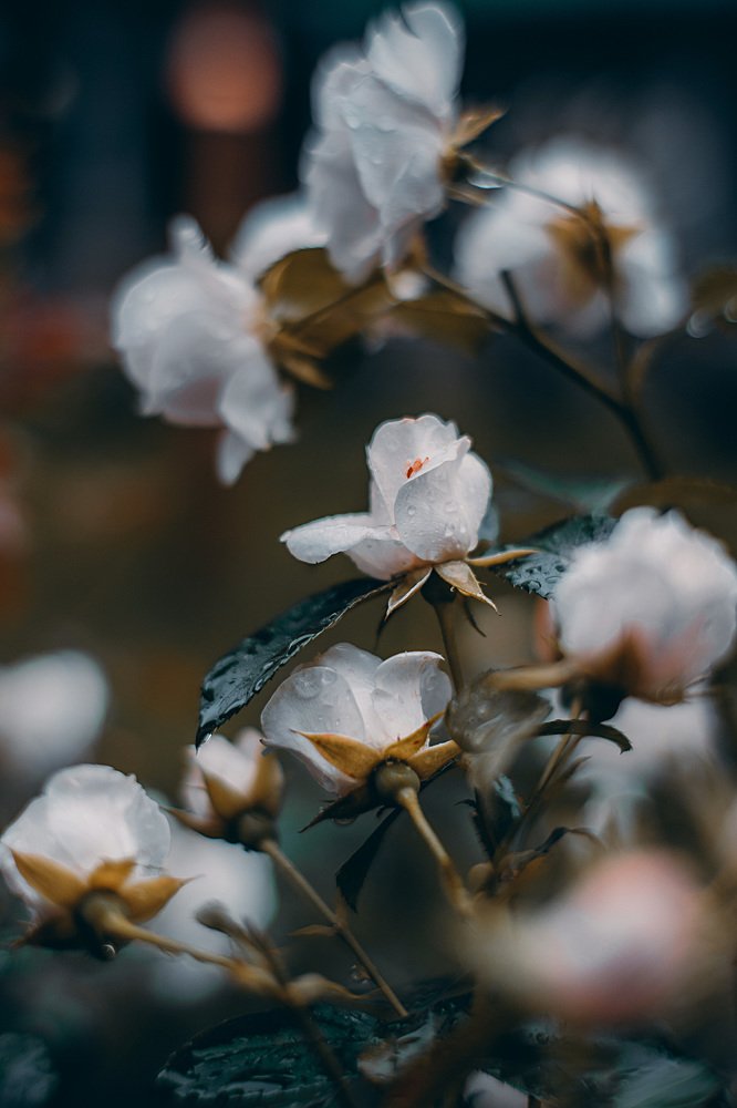 Photograph by Валерия Трушина