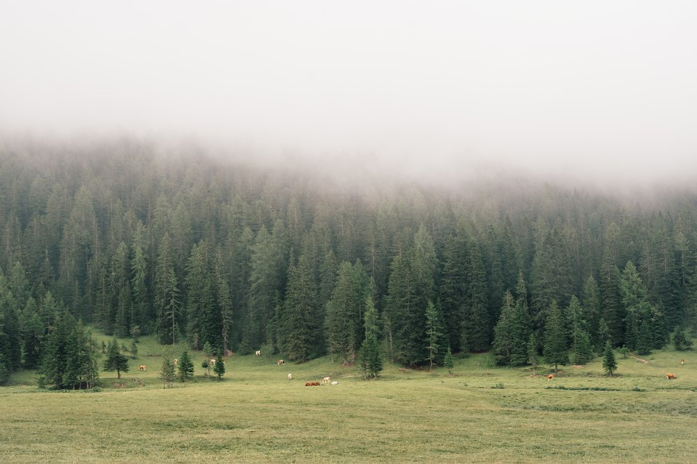 Photograph by Владимир Матвеев