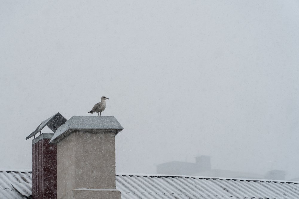 Photograph by Nastja Asipkina