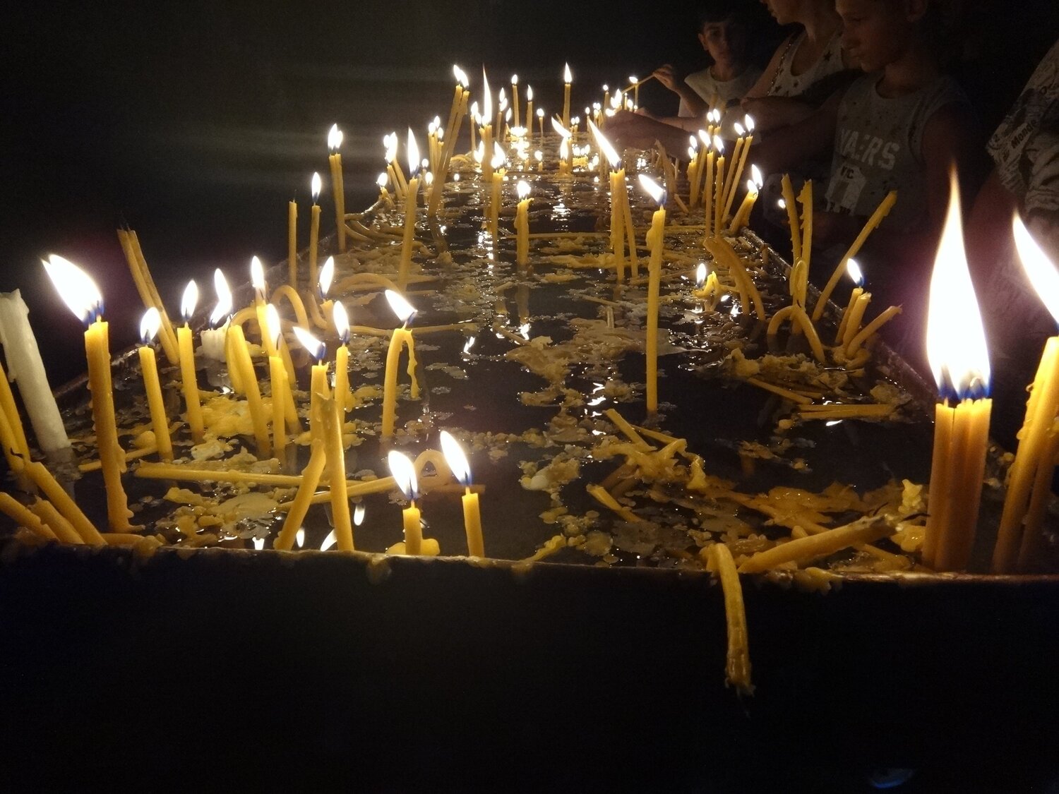 Photo #3559069