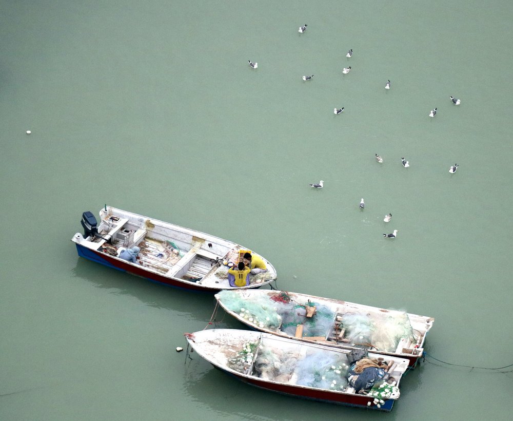 Photograph by  Hamed