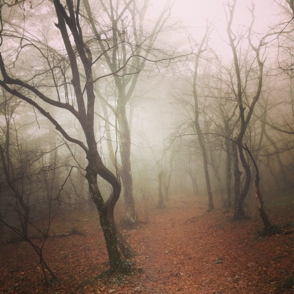 Photograph by настя