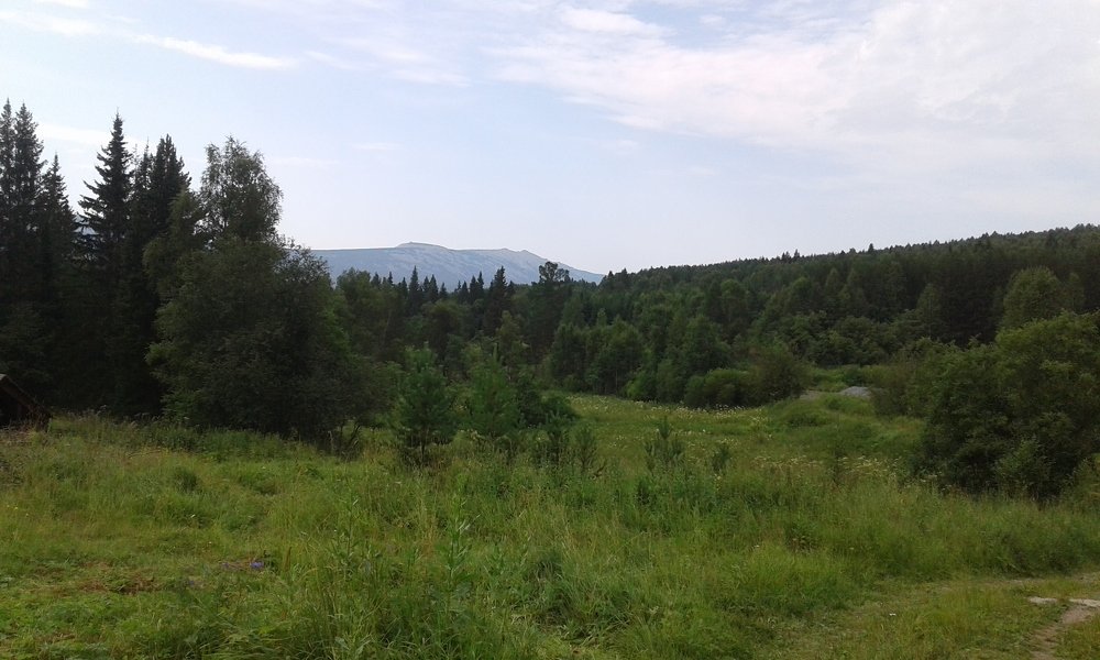 Photo #3559107